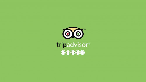 trip-advisor