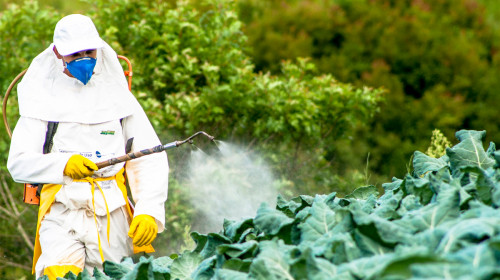 pesticide