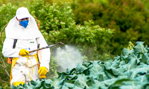 pesticide