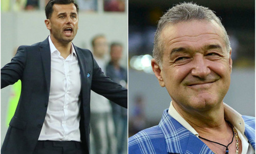 becali dica