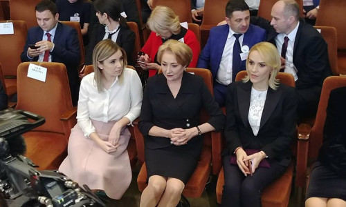 irina viorica gabriela