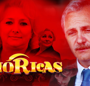 carton-vioricas