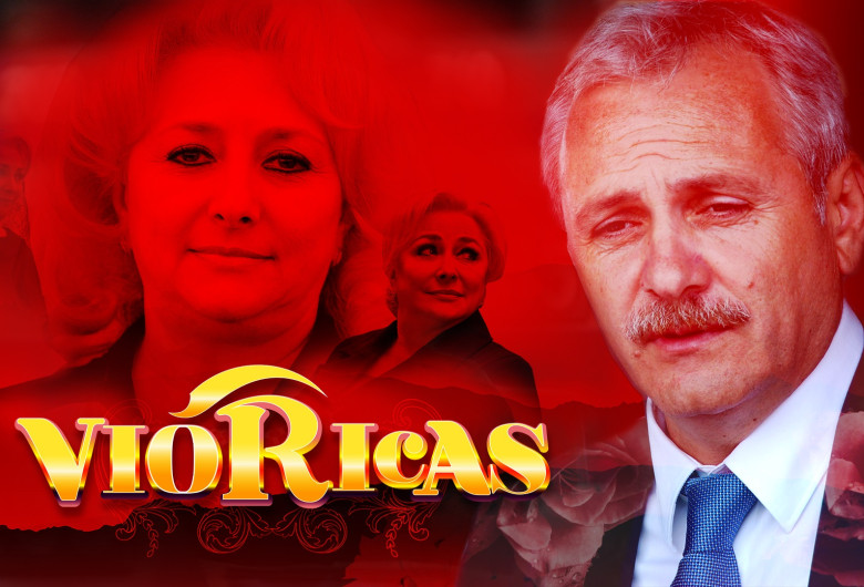 carton-vioricas