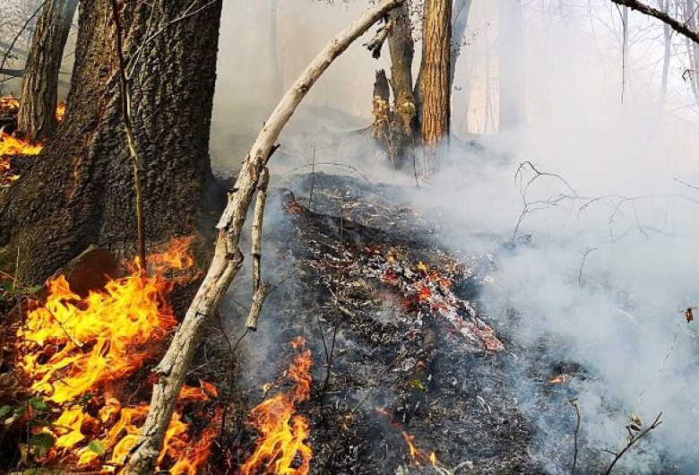 incendiu-semenic-1-620x400