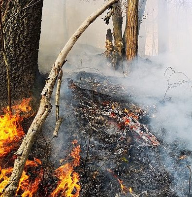 incendiu-semenic-1-620x400