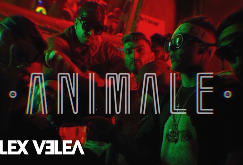 alex velea animale