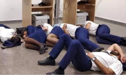 angajati ryanair