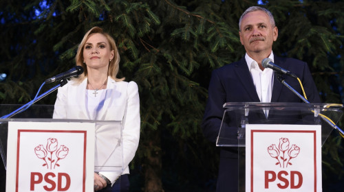 dragnea firea