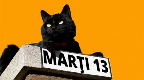 marti 13