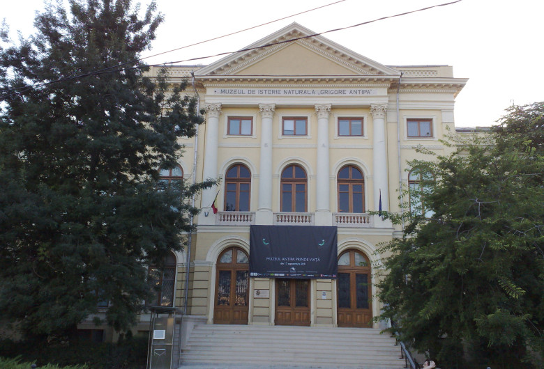 Muzeul Grigore Antipa