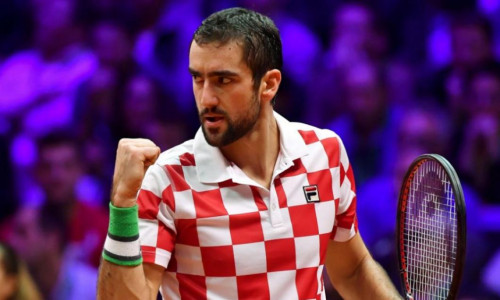 cilic