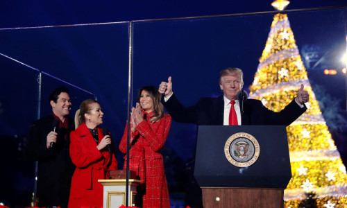donald trump brad