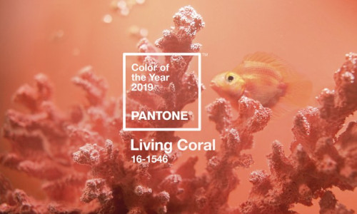 pantone