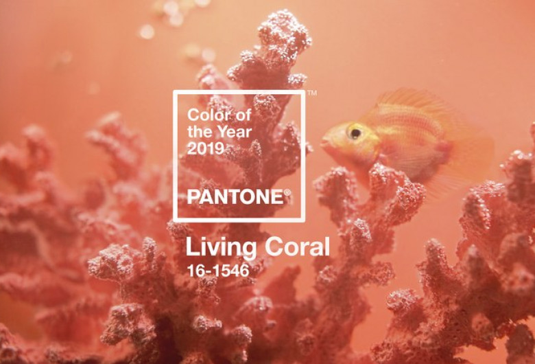 Pantone A Anunțat Culoarea Anului 2019 Living Coral