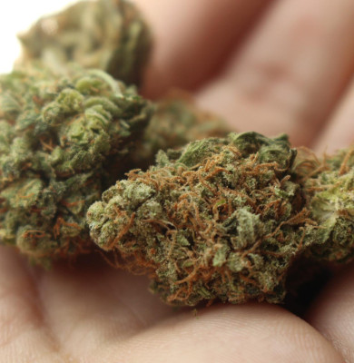 marijuana