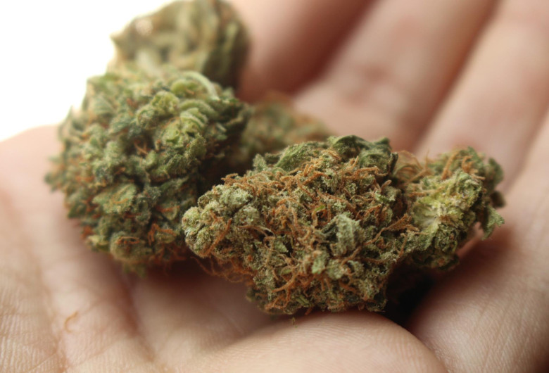 marijuana