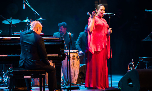 pink martini