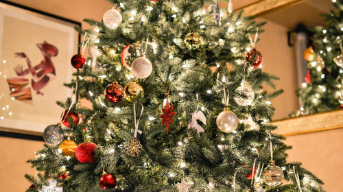 christmas-tree-1081981_1280