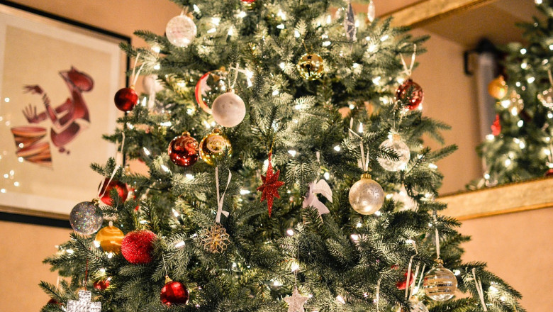 christmas-tree-1081981_1280