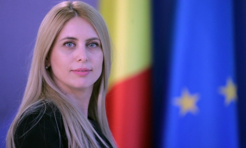 Mihaela Triculescu, ANAF