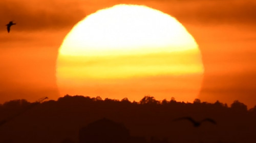 Noapte fierbinte în Australia, Luna apune