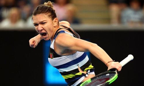 simo halep 1