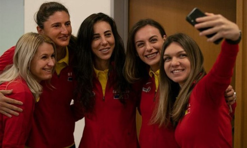 fed cup