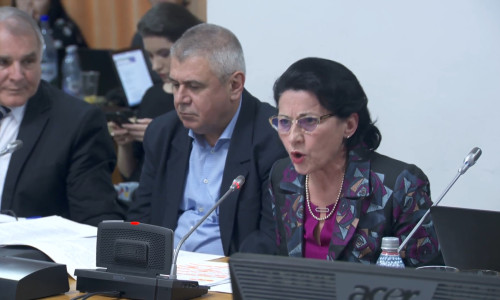 Ecaterina Andronescu nervoasă