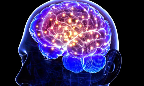 Creier, neuroni, Alzheimer, depresie, boli mintale