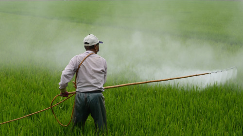 Erbicid, glifosat, dăunători, recoltă, agricol