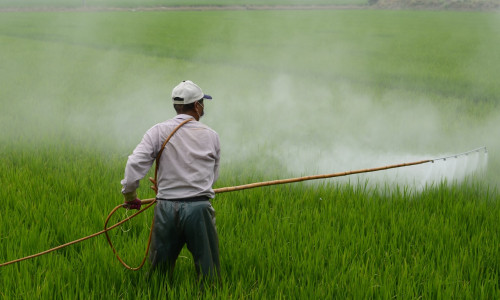 Erbicid, glifosat, dăunători, recoltă, agricol