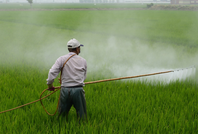 Erbicid, glifosat, dăunători, recoltă, agricol