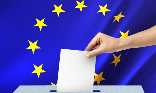 Alegeri europene, europarlamentare, euro orice