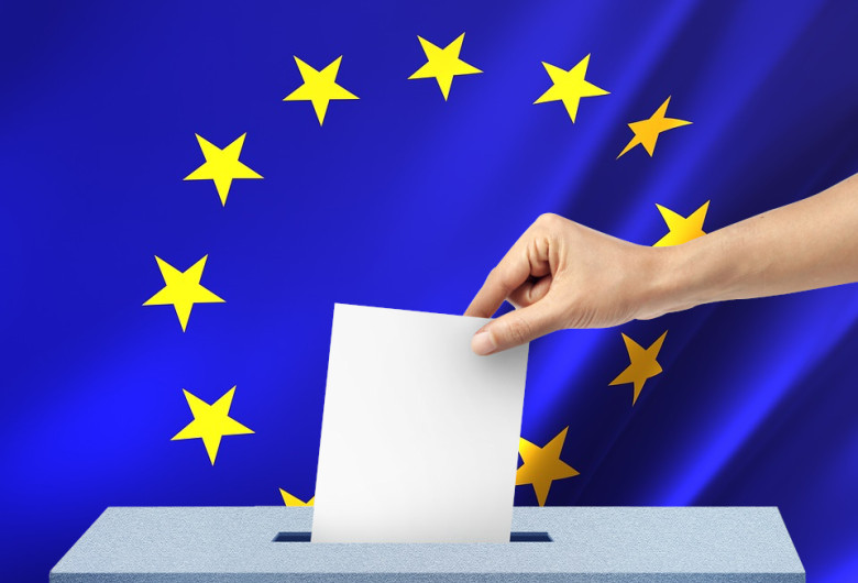 Alegeri europene, europarlamentare, euro orice