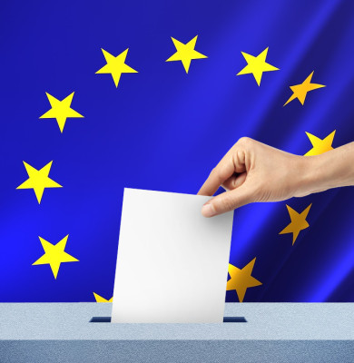 Alegeri europene, europarlamentare, euro orice
