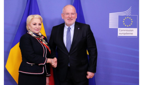 dancila timmermans