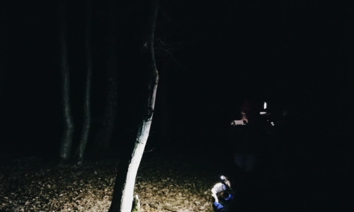 IMG-20190312-WA0000