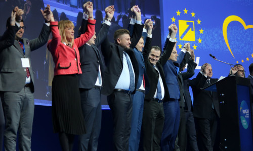 canidati PNL alegeri europene