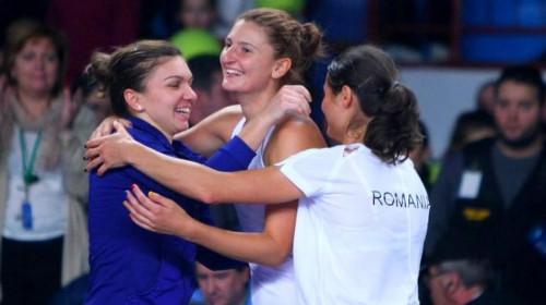 Simona Halep FED Cup