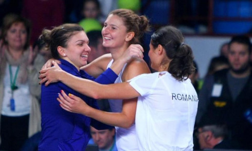 Simona Halep FED Cup