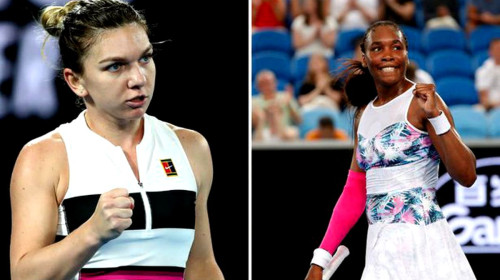 simona halep venus williams