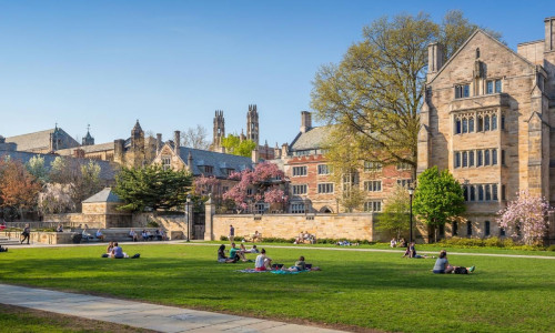 Universitatea Yale