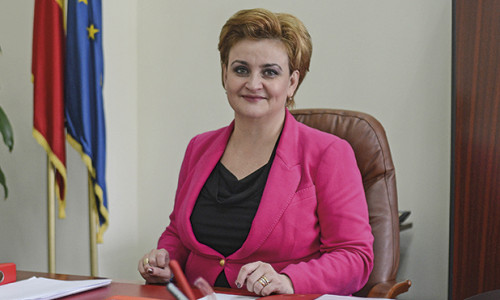 Grațiela Gavrilescu