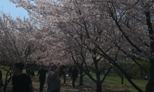 IMG-20190331-WA0000