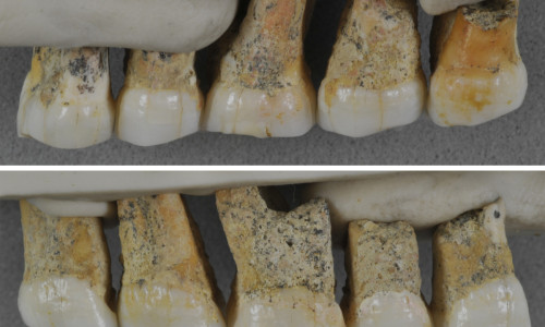 Homo Luzonensis, specie umană găsită în Filipine
