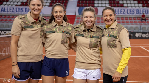 fed cup 2