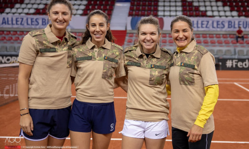 fed cup 2
