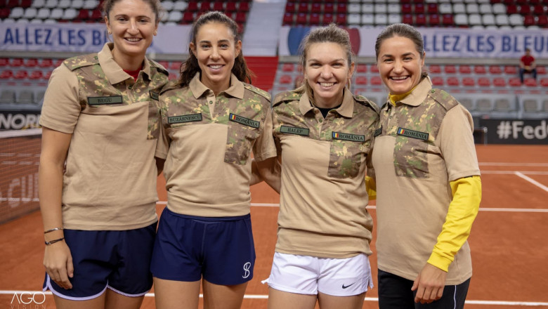 fed cup 2