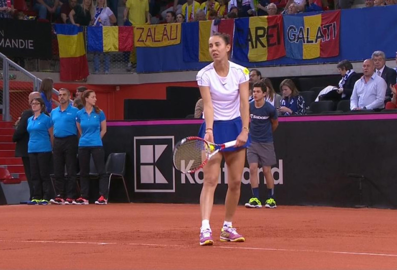 buzarnescu