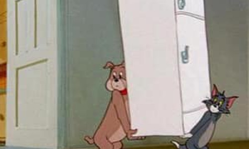 tom jerry